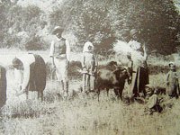 Кипрские крестьяне в XIX веке
