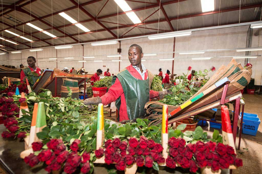 Фабрика цветов в Нигерии