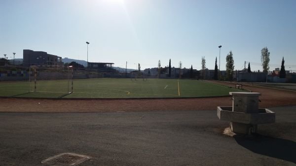 школа Кипр стадион