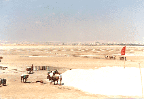 Соляное озеро. Вид в начале 20 века