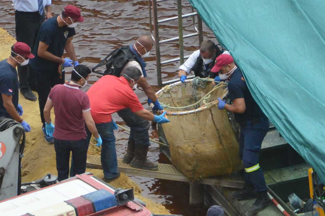 Найдено тело шестой жертвы серийного убицы на Кипре на озере Митсеро