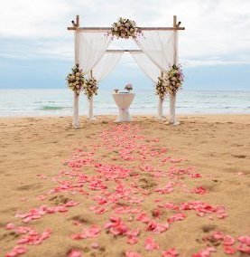 Wedding Arch Cyprus